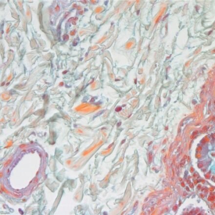 Барвник Дайна 100 тестів