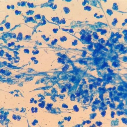 Кіньюнс набір барвників 100 тестів