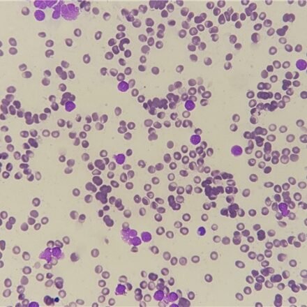 Май - Грюнвальд Гімза для мазків набір барвників 100 тестів