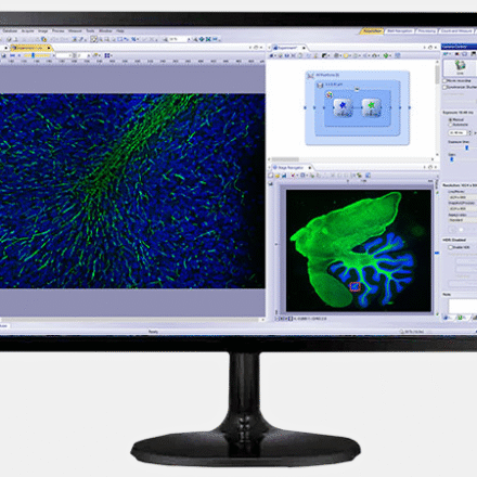 Програмне забезпечення Olympus CellSens Standard