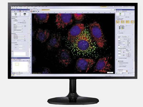 Програмне забезпечення Olympus CellSens Entry