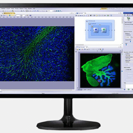 Програмне забезпечення Olympus CellSens Dimension