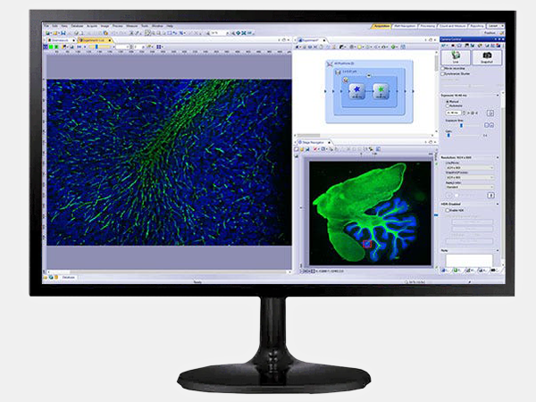 Програмне забезпечення Olympus CellSens Dimension